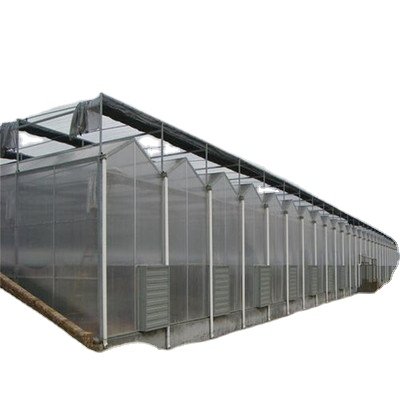 commercial agricultural greenhouses for tomato / vegetable/fruit/flower with hydroponics for turnkey project green house