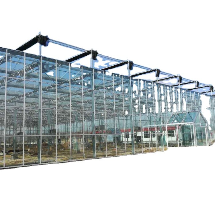 commercial agricultural greenhouses for tomato / vegetable/fruit/flower with hydroponics for turnkey project green house