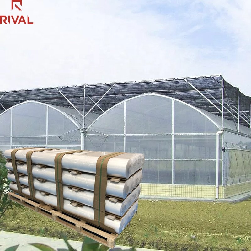 China Manufacturer greenhouse plastic sheet transparent greenhouse cover Anti-drop agricultural film