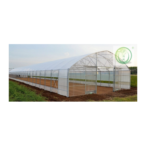 Low Cost Single Span Greenhouses Customized One-Stop Polytunnel Farming High Tunnel Agriculture Greenhouse