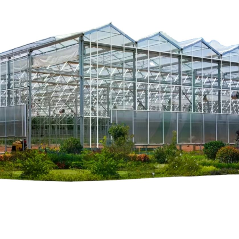 Large Smart Agricultural low cost Multi Span PC Greenhouse with growing and planting