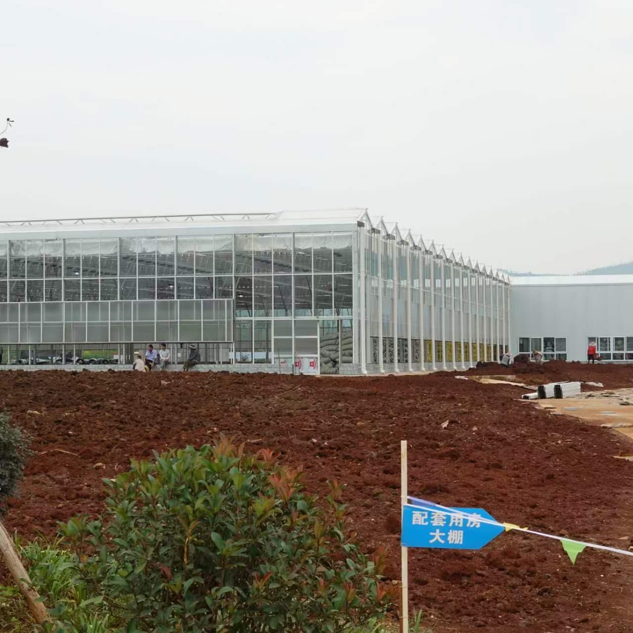Large Smart Agricultural low cost Multi Span PC Greenhouse with growing and planting
