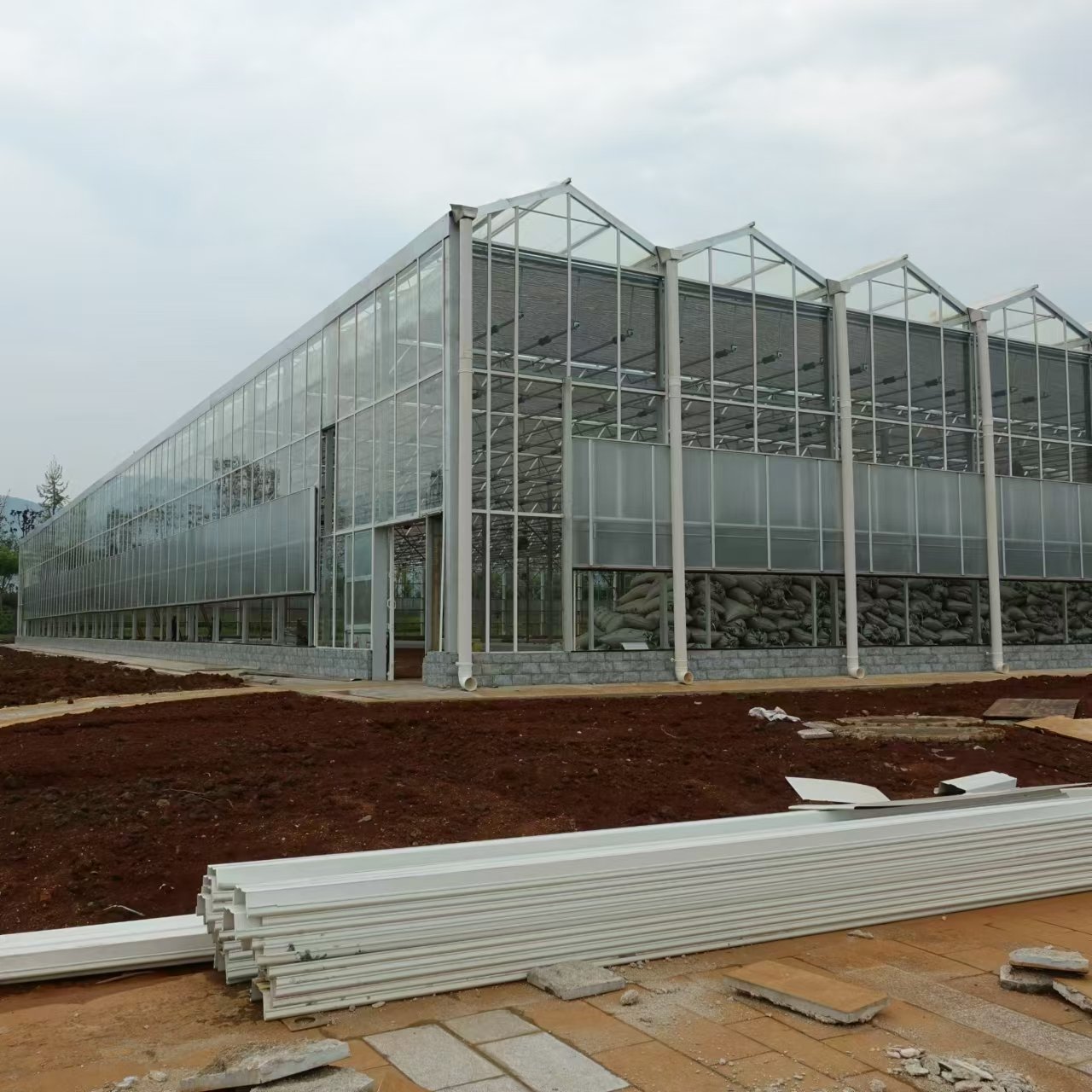 Large Smart Agricultural low cost Multi Span PC Greenhouse with growing and planting