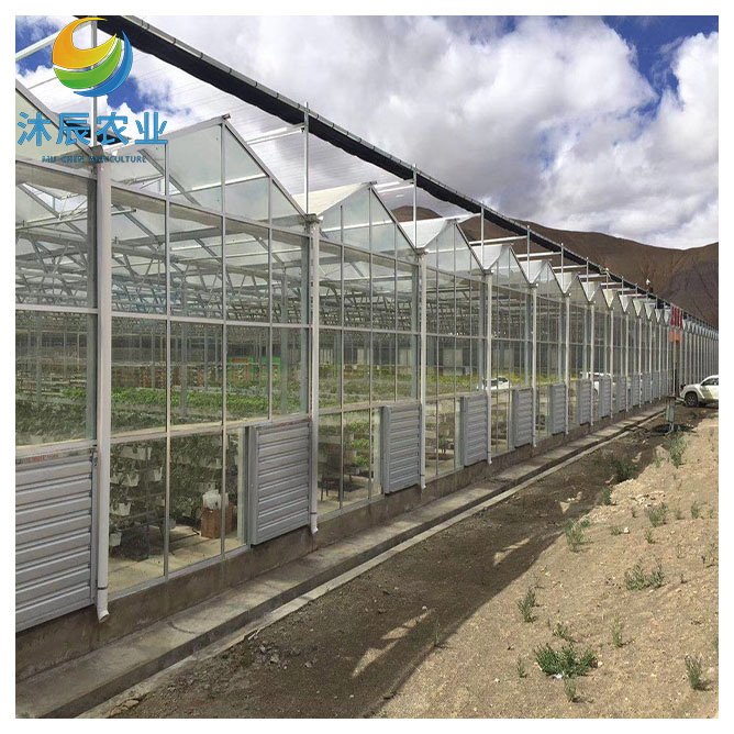 Multi-span Agricultural Glass Victorian Green House For Sale