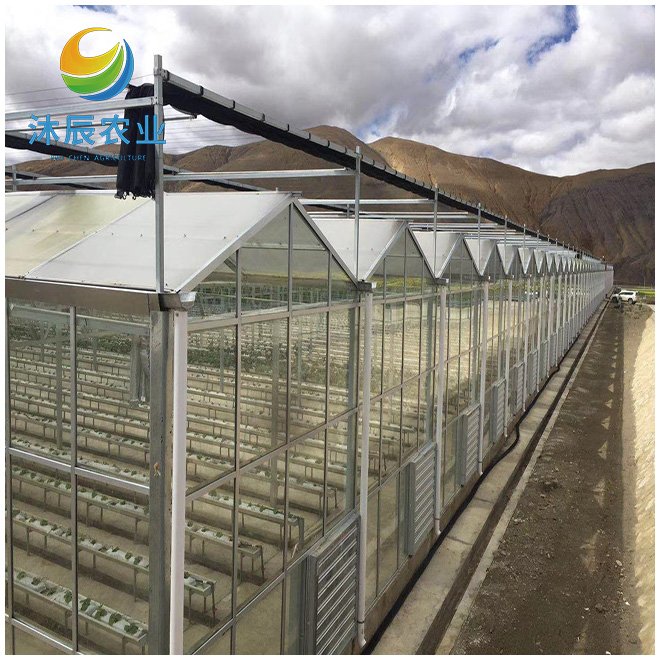 Multi-span Agricultural Glass Victorian Green House For Sale