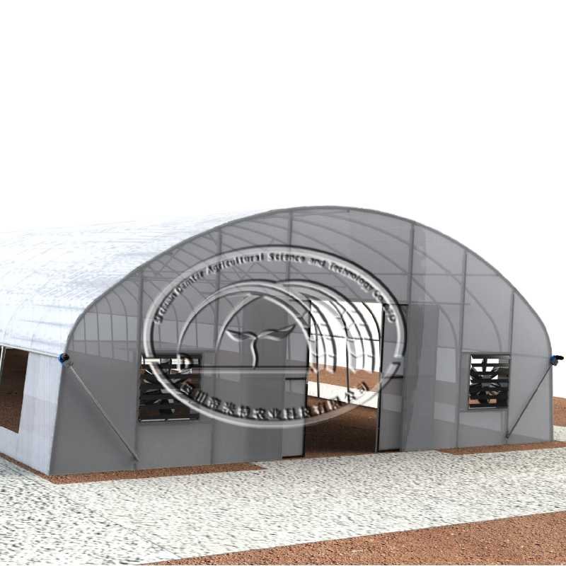 Economical agriculture vegetable planting film tunnel greenhouse