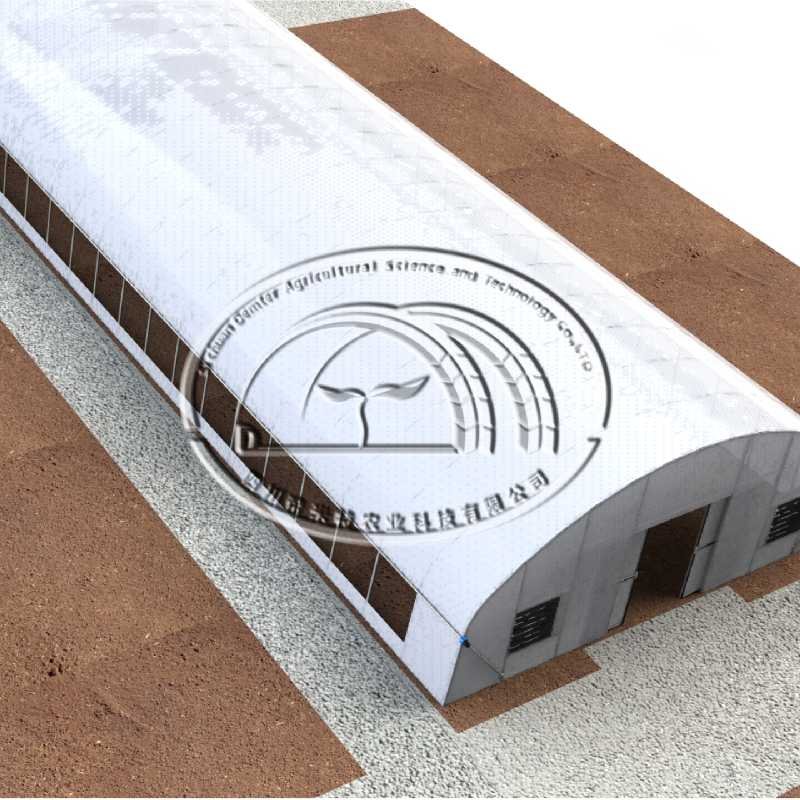 Economical agriculture vegetable planting film tunnel greenhouse