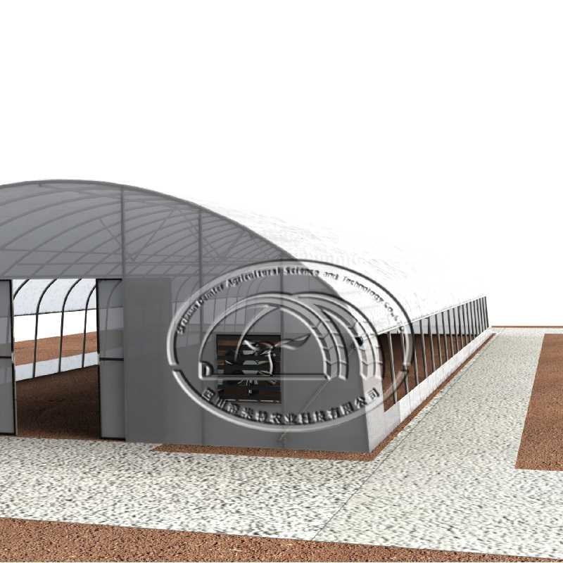 Economical agriculture vegetable planting film tunnel greenhouse