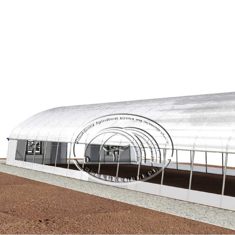 Economical agriculture vegetable planting film tunnel greenhouse