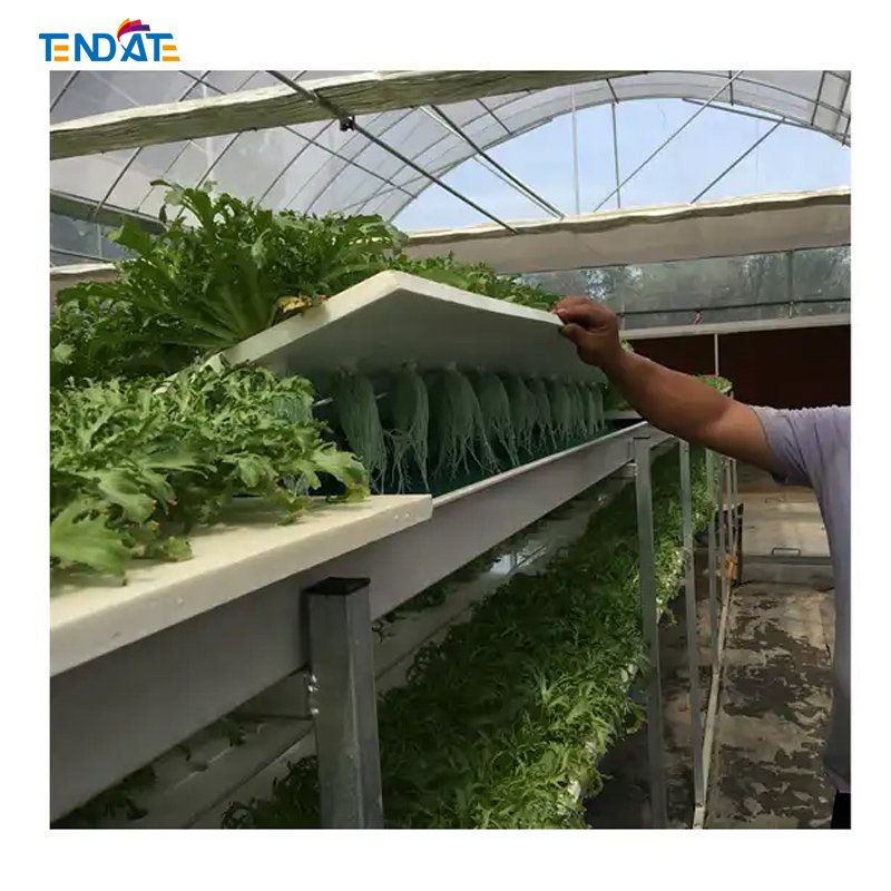 DWC Hydroponic Greenhouse Vertical Grow Rack with Adjustable Layers for Indoor Grow System