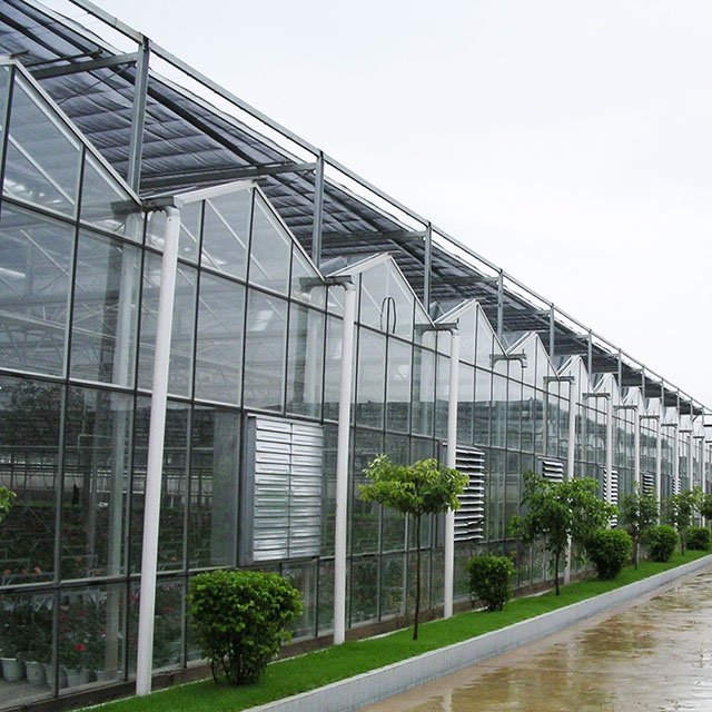 Agricultural Glass Greenhouses For Strawberry