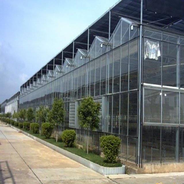 Agricultural Glass Greenhouses For Strawberry