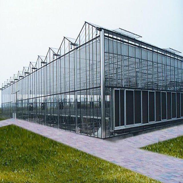 Agricultural Glass Greenhouses For Strawberry