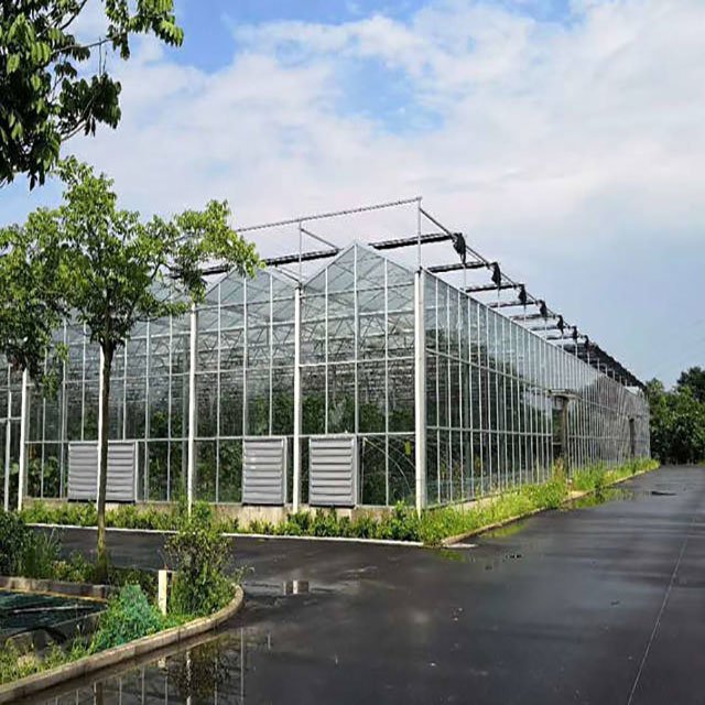 Agricultural Glass Greenhouses For Strawberry
