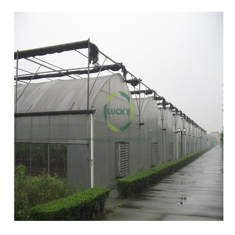 Agriculture Farm Victorian Orangerie Ventilation Motor Plastic Green House Aquaponic Profile Inflatable Tunnel Greenhouse