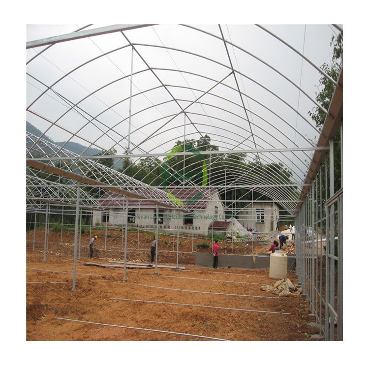 Agriculture Farm Victorian Orangerie Ventilation Motor Plastic Green House Aquaponic Profile Inflatable Tunnel Greenhouse