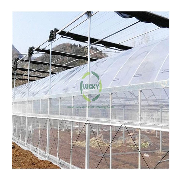 Agriculture Farm Victorian Orangerie Ventilation Motor Plastic Green House Aquaponic Profile Inflatable Tunnel Greenhouse