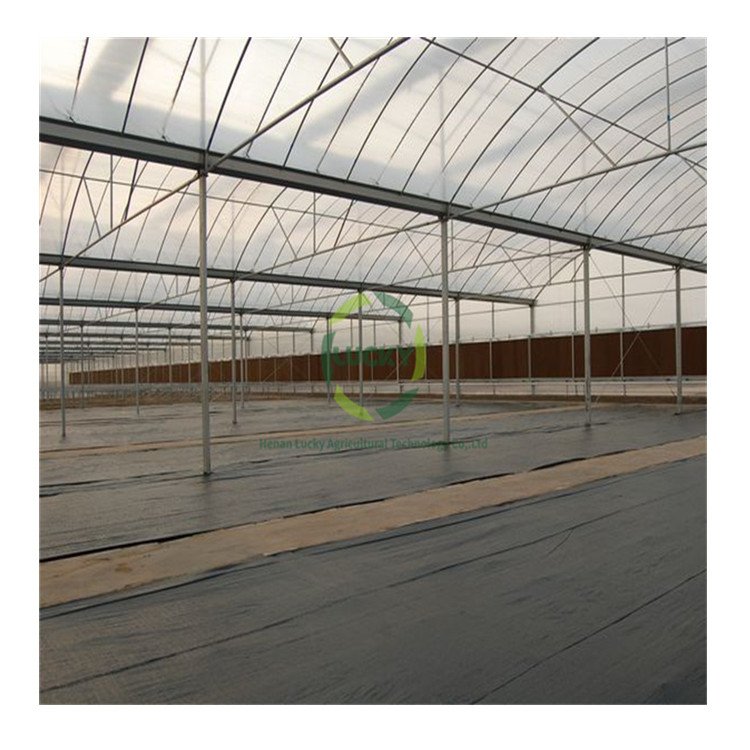 Agriculture Farm Victorian Orangerie Ventilation Motor Plastic Green House Aquaponic Profile Inflatable Tunnel Greenhouse