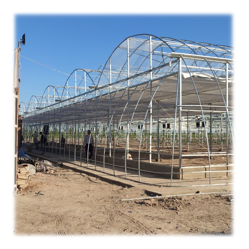 Hot Galvanized Green House Metal Frame Structure Turnkey Project Agricultural Greenhouse for tomato greenhouse plastic cover