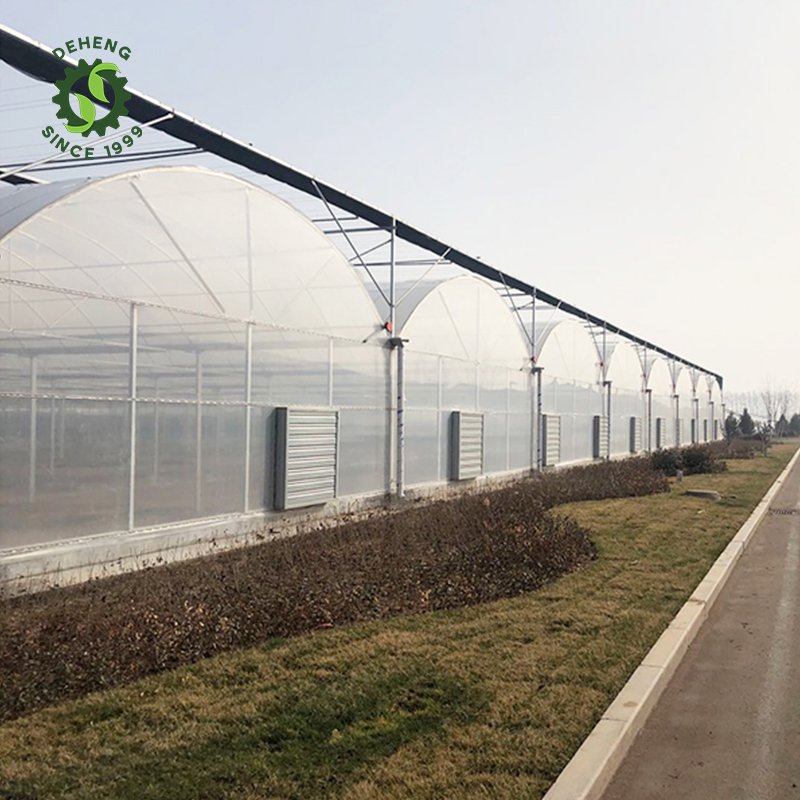 Hot Selling Cheap Custom Arch Other Green House Greenhouse Plastic Film Multi Span Agriculture Greenhouse For Vegetable