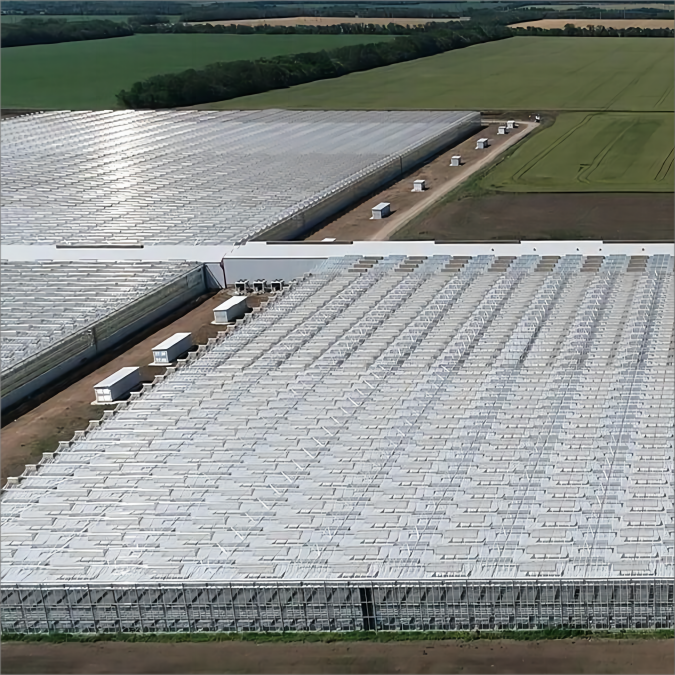 Modern agricultural glass greenhouse kit with hydroponic system cooling system Irrigation system for vegetable fruit flower