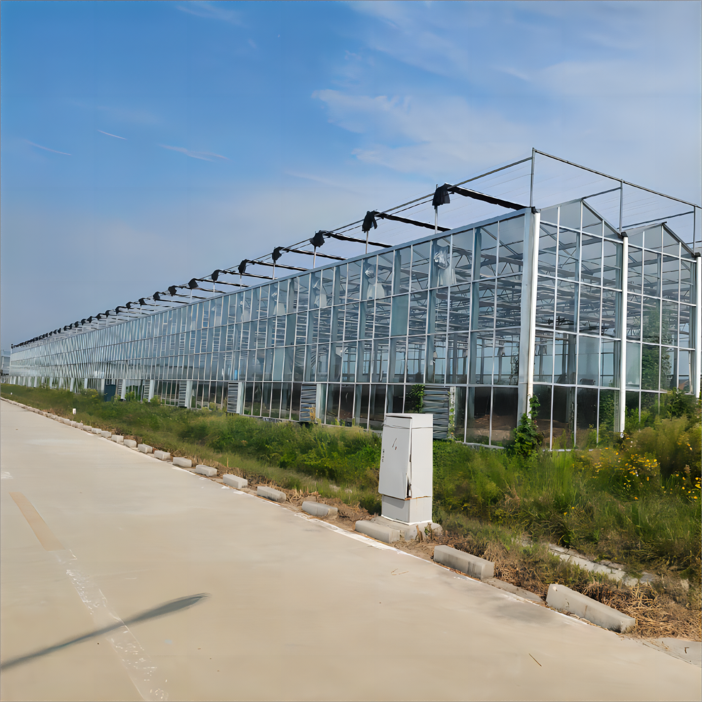 Modern agricultural glass greenhouse kit with hydroponic system cooling system Irrigation system for vegetable fruit flower