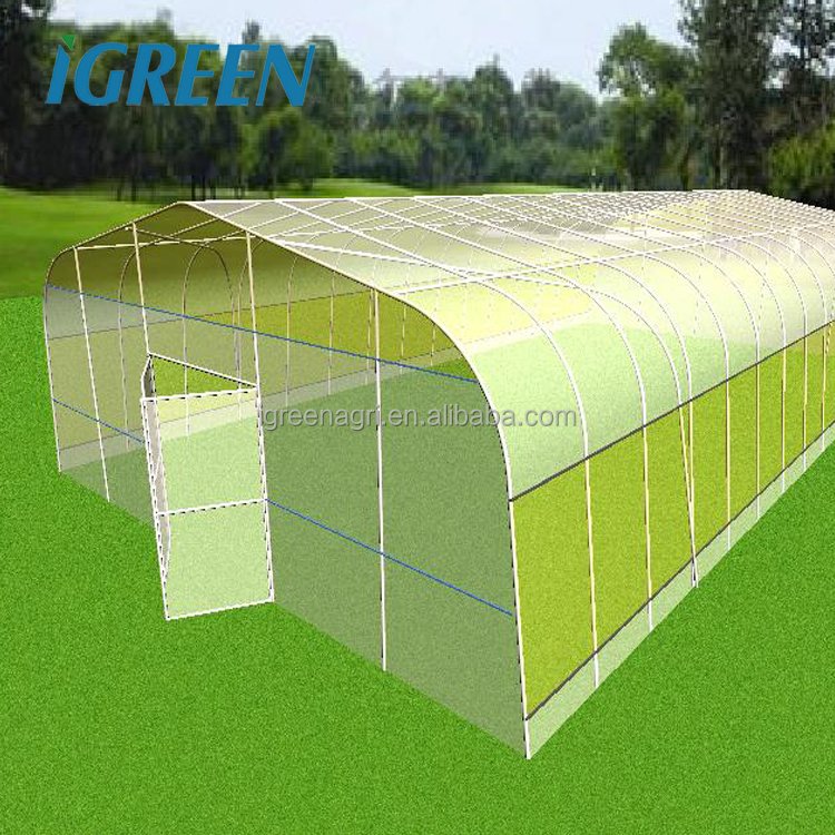 IGREEN garden/home/outdoor greenhouse for plant single-span tunnel greenhouse for agriculture