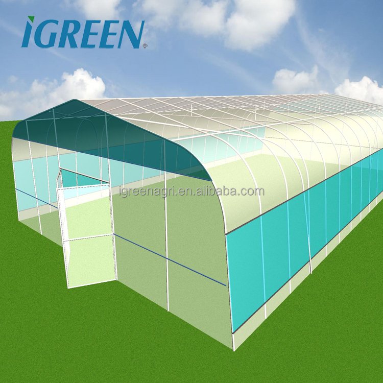 IGREEN garden/home/outdoor greenhouse for plant single-span tunnel greenhouse for agriculture