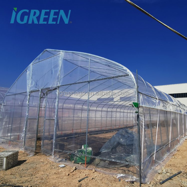 IGREEN garden/home/outdoor greenhouse for plant single-span tunnel greenhouse for agriculture