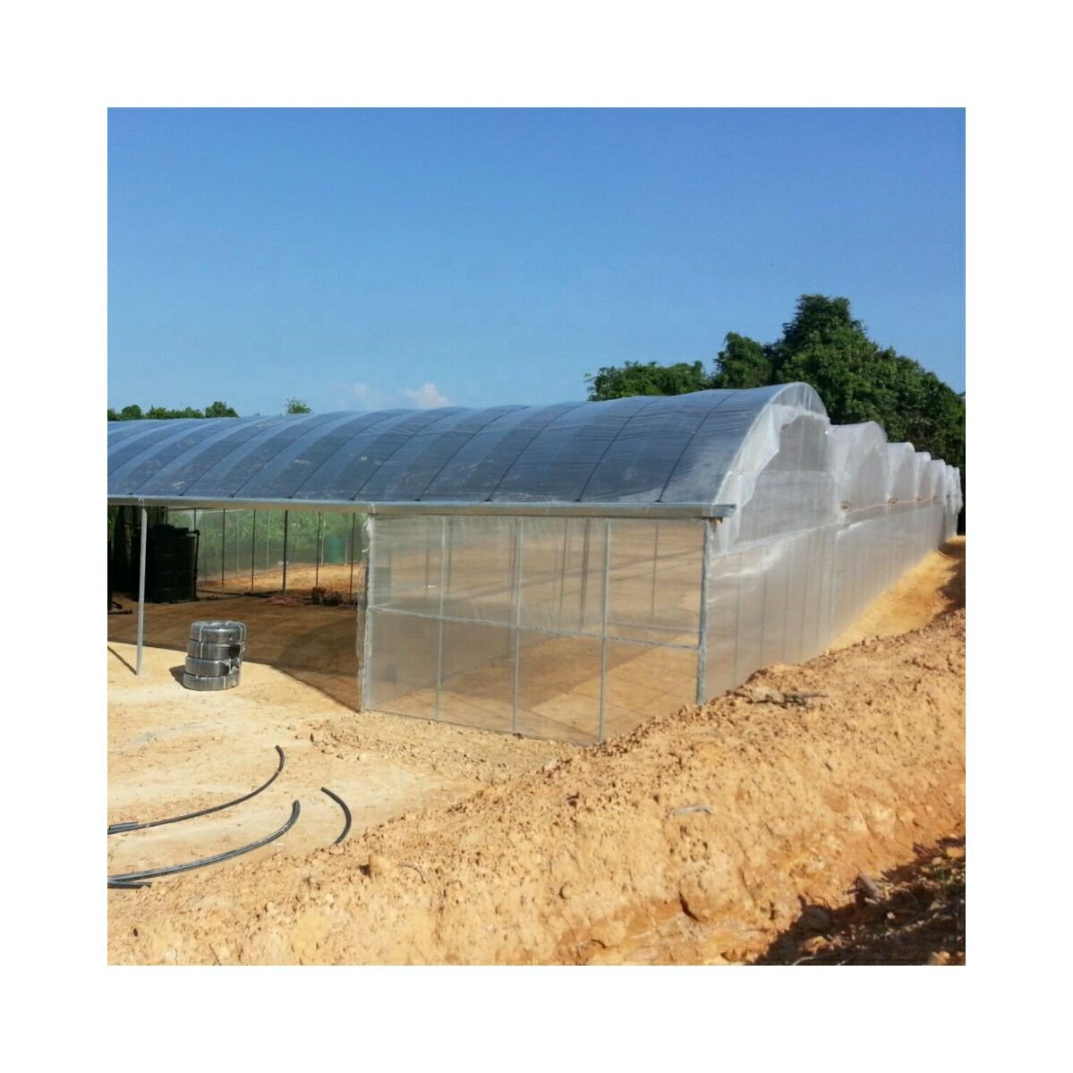 Hot Dip Galvanized Multi-span greenhouse poly film agricultural greenhouse with sides ventilation for vegetables