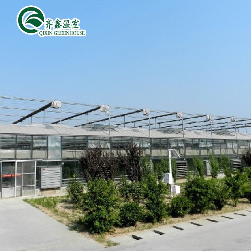 25 Years Quality Guarantee Galvanized Steel Structure For Glass Greenhouse