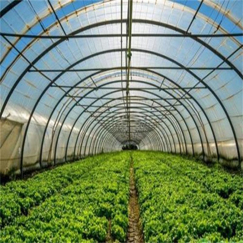 Low cost agricultural greenhouse for sale