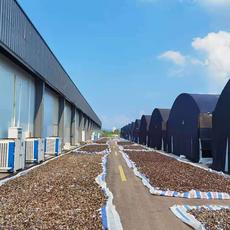 serre Gewachshaus sklenik serra rumah kaca invernadero tomato green house commercial mushroom greenhouse for sale