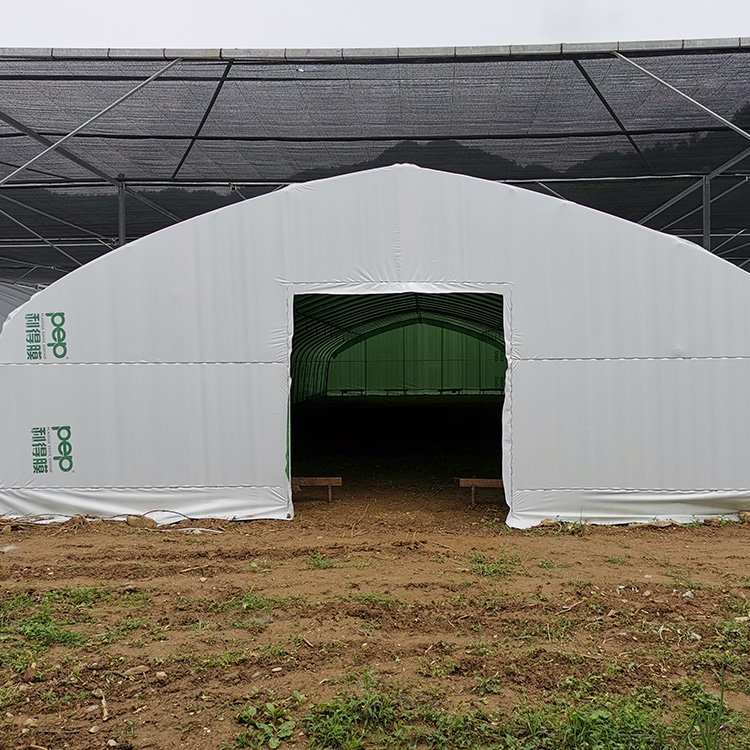 serre Gewachshaus sklenik serra rumah kaca invernadero tomato green house commercial mushroom greenhouse for sale