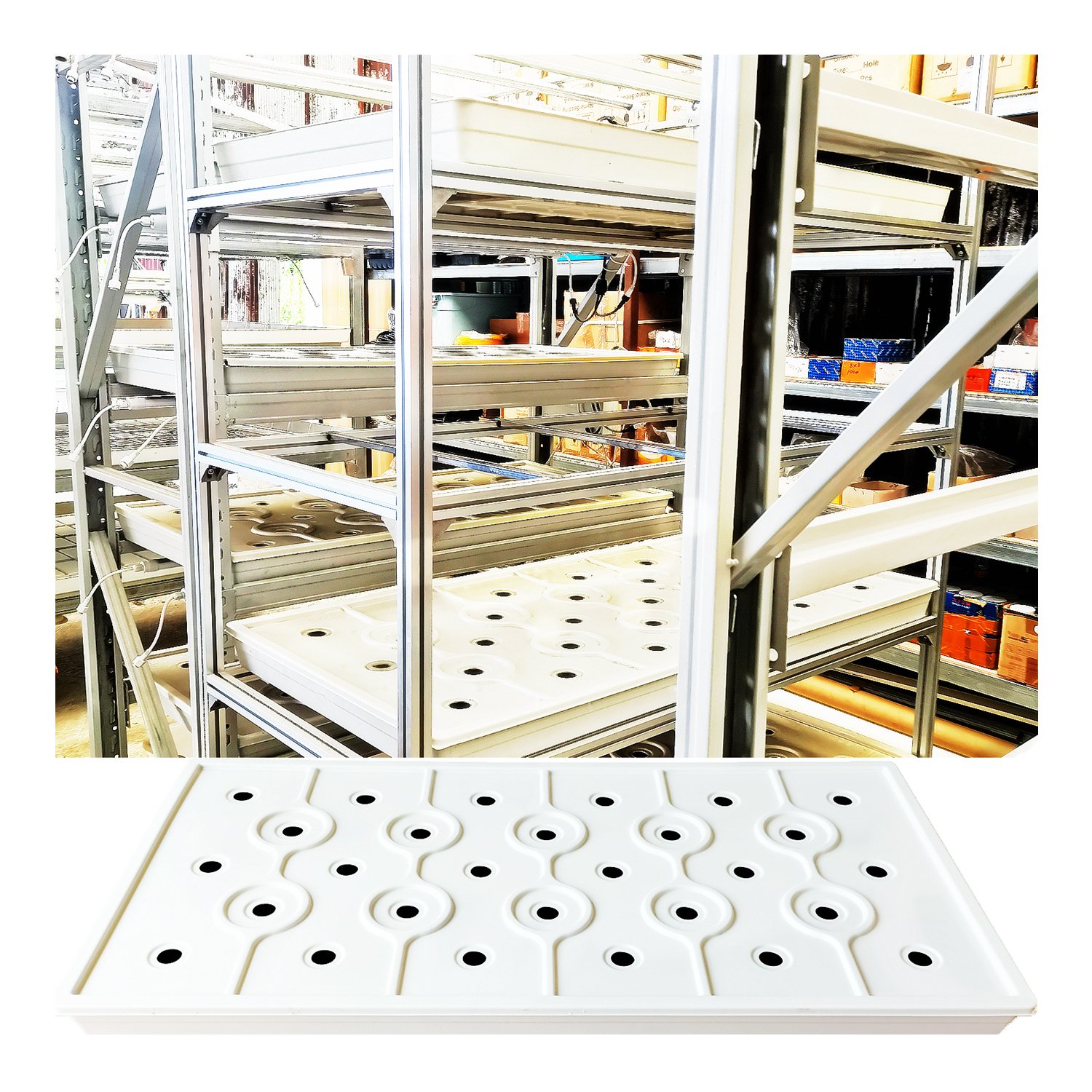 4ft 8ft Hydroponic Propagation Tray Steel Plastic Rolling Bench Greenhouse Grow Tray for ABS Tray Growing Agriculture