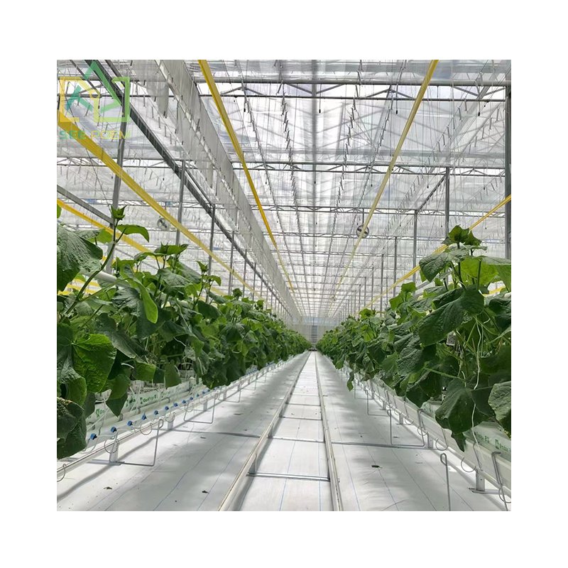 Seepoem Vertical Growing Facilities Equipment Agricultural Hydroponics Multi-span Polycarbonate Greenhouse for Strawberry