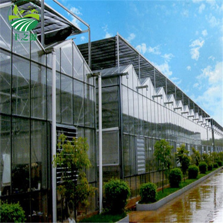 High Efficiency Large Multi Span Glass Agriculture Greenhouse/Low Cost Type Glass Multi Span Seedling Commercial greenhouse