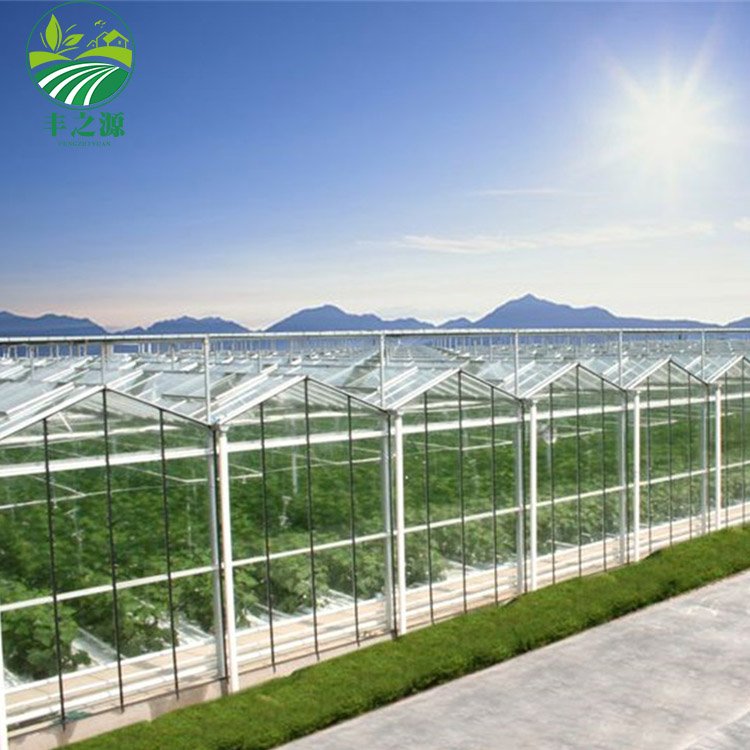 High Efficiency Large Multi Span Glass Agriculture Greenhouse/Low Cost Type Glass Multi Span Seedling Commercial greenhouse