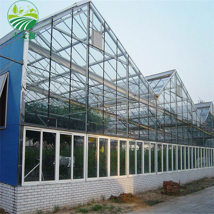 High Efficiency Large Multi Span Glass Agriculture Greenhouse/Low Cost Type Glass Multi Span Seedling Commercial greenhouse