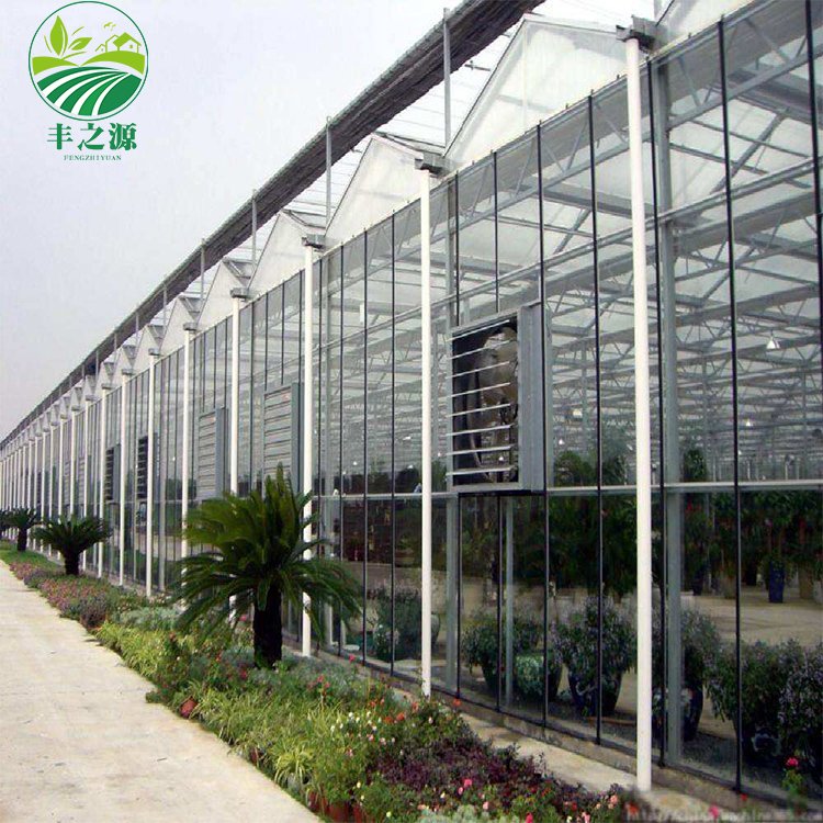 High Efficiency Large Multi Span Glass Agriculture Greenhouse/Low Cost Type Glass Multi Span Seedling Commercial greenhouse