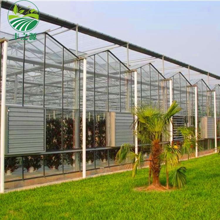 High Efficiency Large Multi Span Glass Agriculture Greenhouse/Low Cost Type Glass Multi Span Seedling Commercial greenhouse