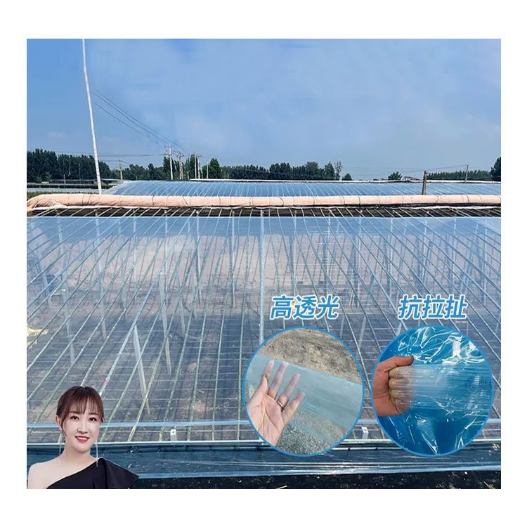Factory Direct Supply 200 Micron Agricultural Greenhouse Anti-Drip Greenhouse Plastic Film