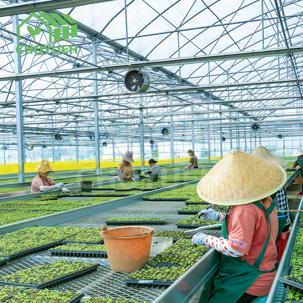 CHOYUEH Commercial Agricultural Greenhouse Hydroponic Flood Table Hydroponics ABS Flood Tray Low Cost Good QuantityFor Sale