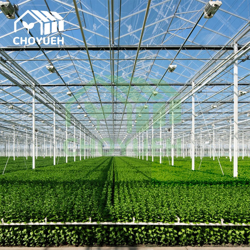 CHOYUEH Commercial Agricultural Greenhouse Hydroponic Flood Table Hydroponics ABS Flood Tray Low Cost Good QuantityFor Sale