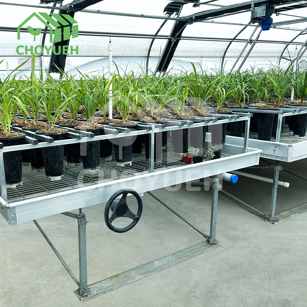 CHOYUEH Commercial Agricultural Greenhouse Hydroponic Flood Table Hydroponics ABS Flood Tray Low Cost Good QuantityFor Sale
