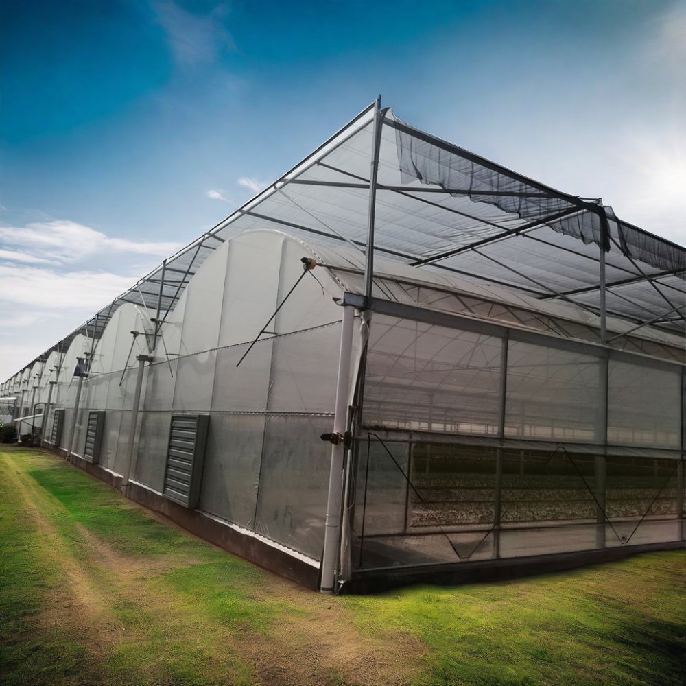 Galvanized Steel Frame Multi-span PE Film Greenhouse For Agriculture Low Cost Tunnel greenhouse For Flowers plant