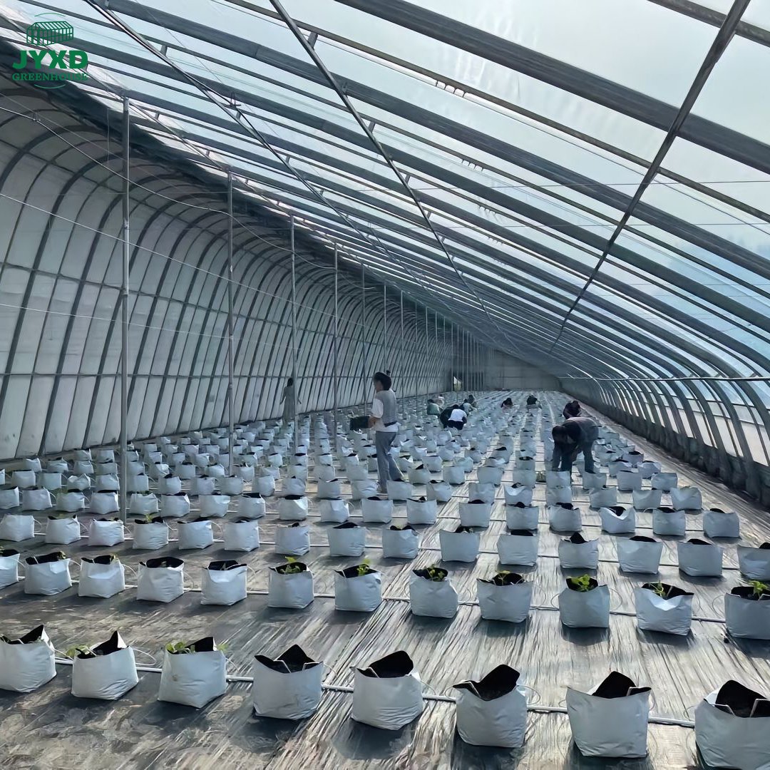 High Quality Single-Span Agriculture Greenhouse