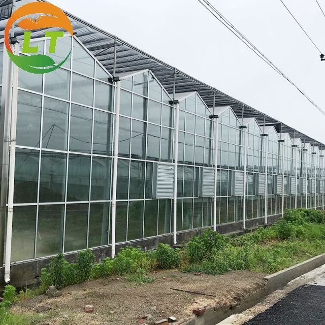 Greenhouse with Farm Irrigation Systems Custom Green House for Planting Agricultural Greenhouse Glass Greenhouses China Film