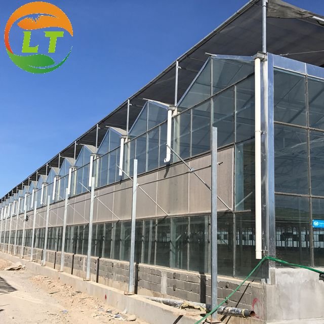 Greenhouse with Farm Irrigation Systems Custom Green House for Planting Agricultural Greenhouse Glass Greenhouses China Film