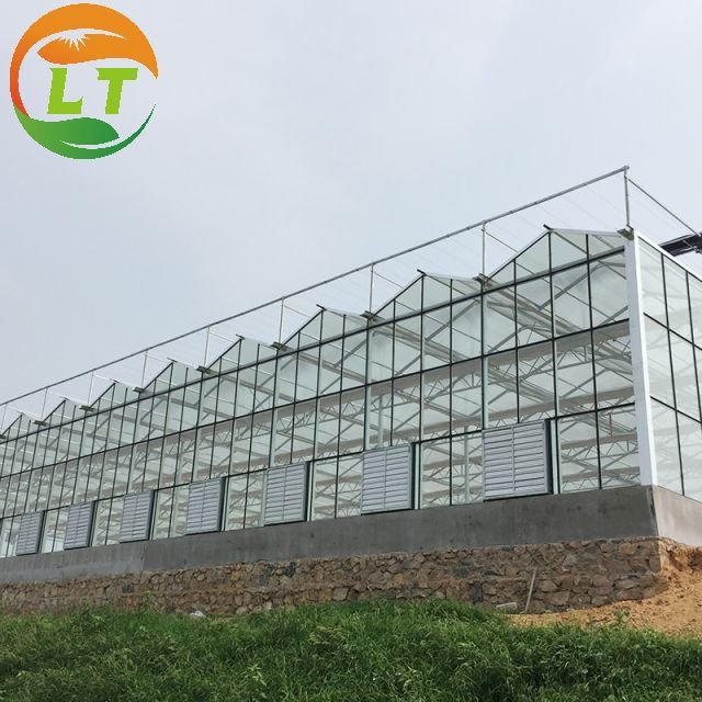 Greenhouse with Farm Irrigation Systems Custom Green House for Planting Agricultural Greenhouse Glass Greenhouses China Film